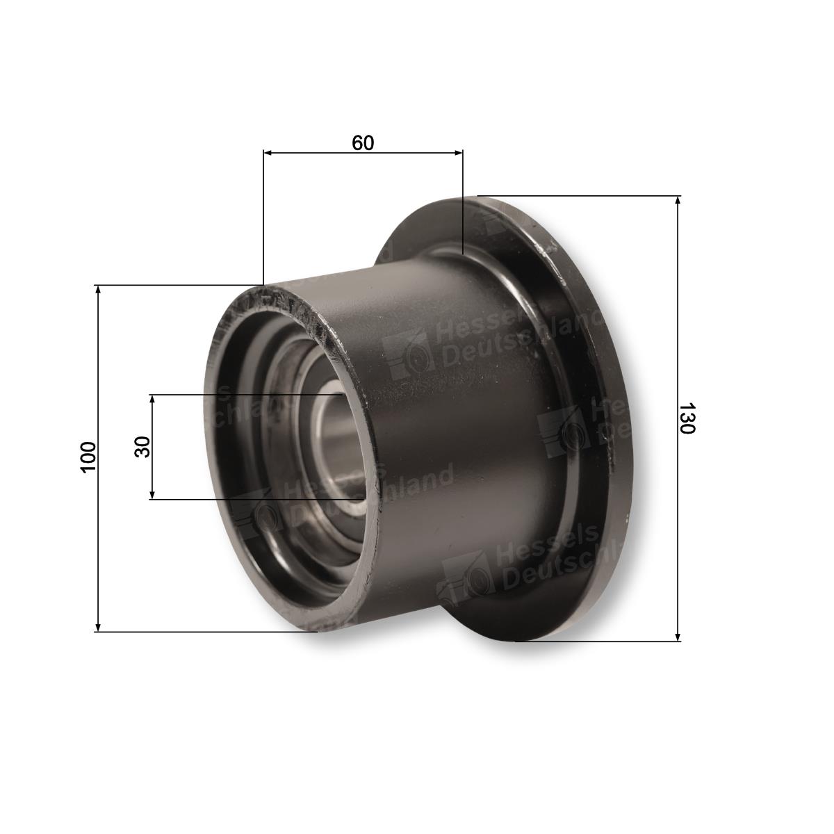 Umlenkrolle Igelband m. Lager ø100/130/60/30